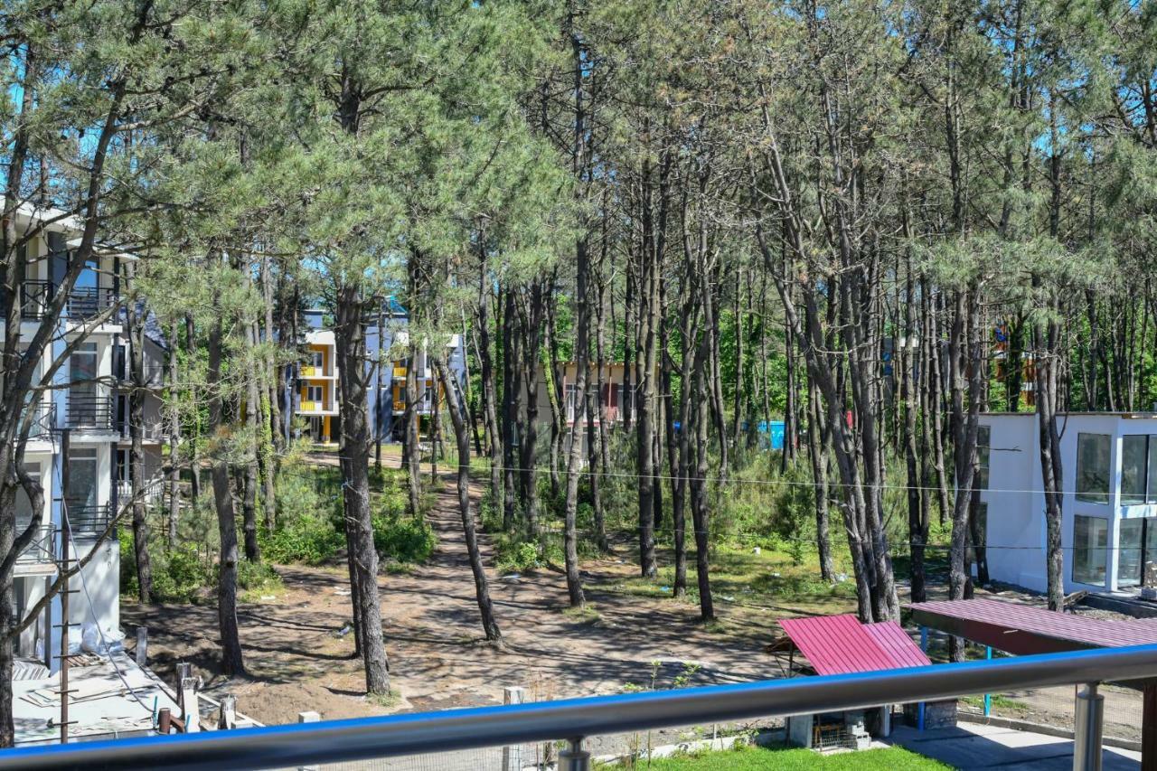 Hotel Molecule Shekvetili Dış mekan fotoğraf